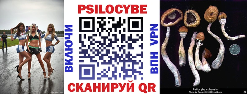 это состав  Лянтор  Псилоцибиновые грибы Cubensis  где продают  